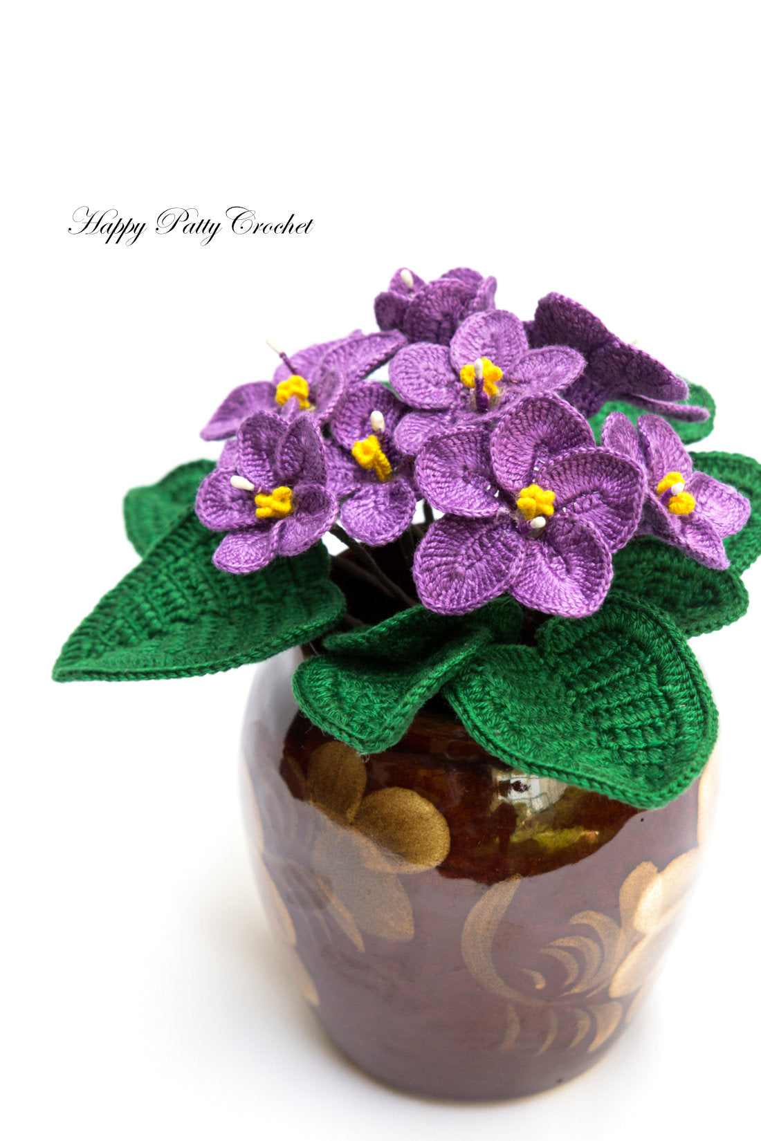 African Violet