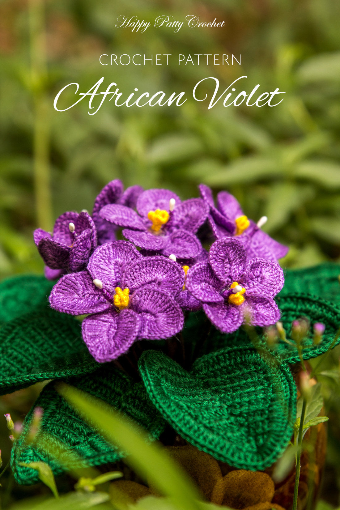 African Violet