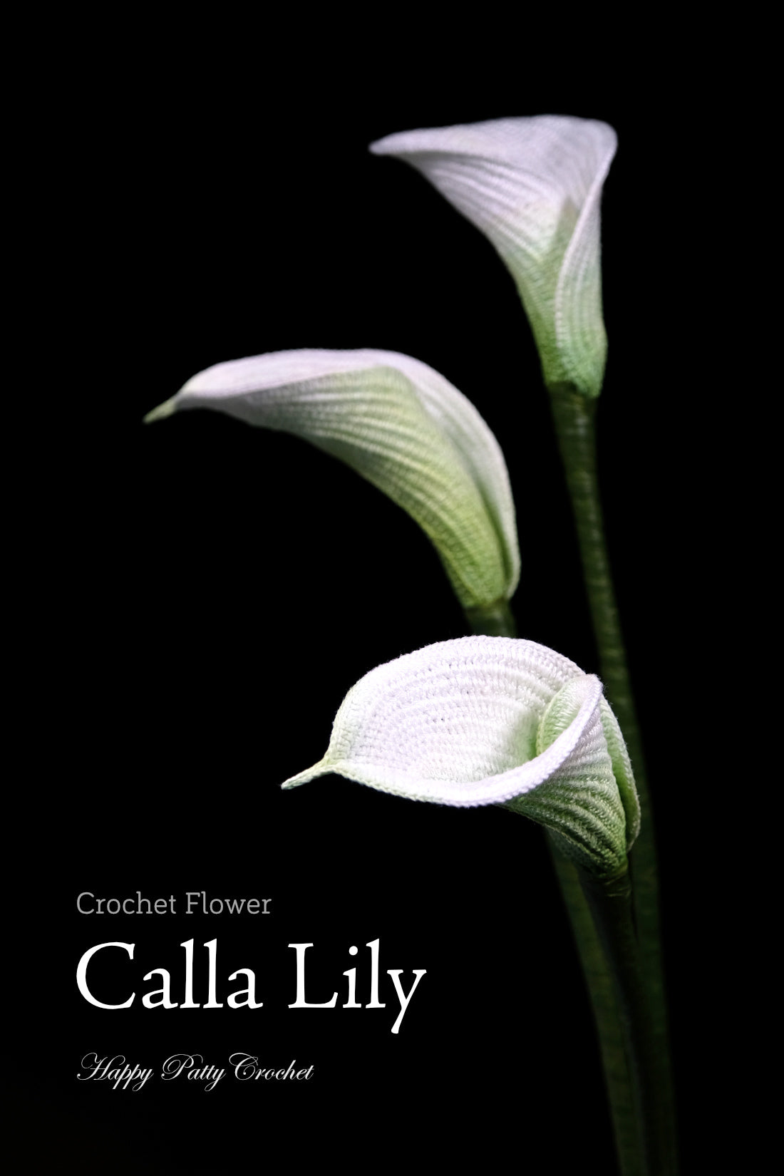 Calla Lily