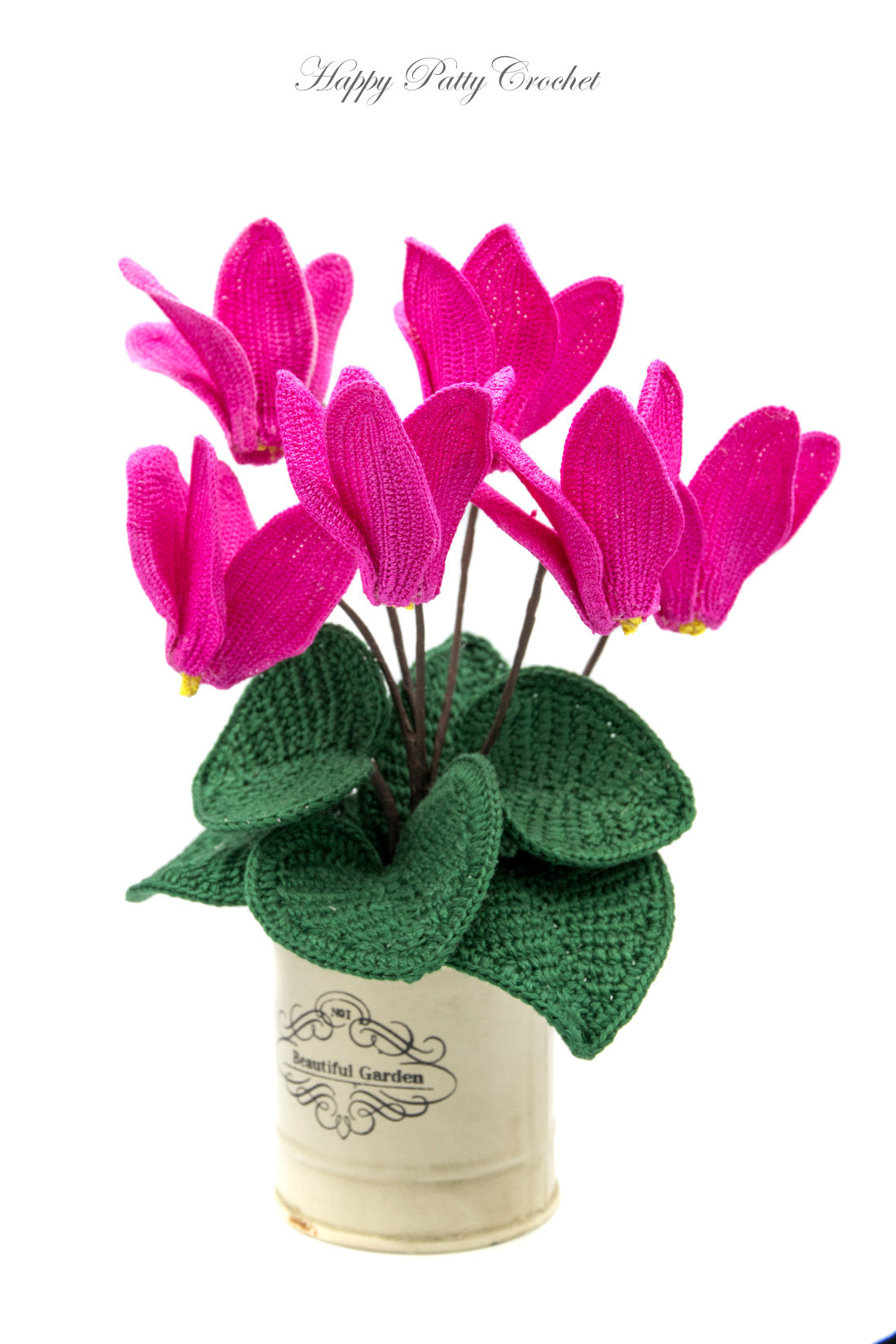 Cyclamen