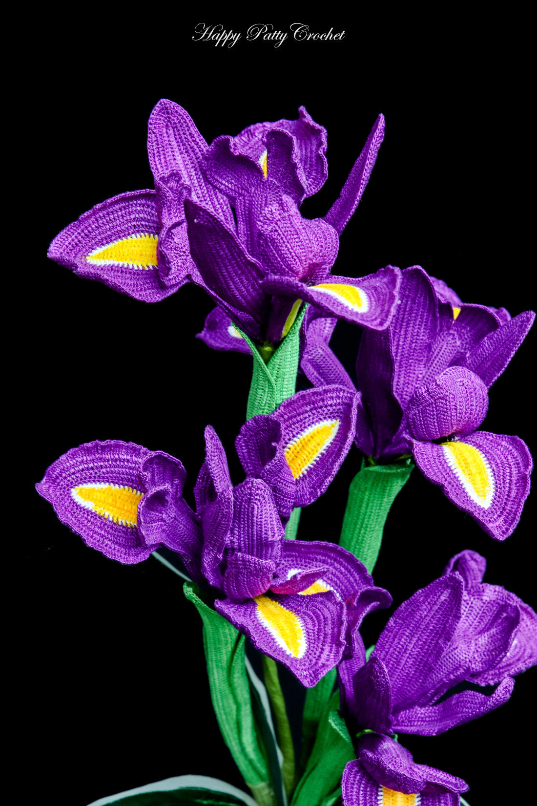 Iris