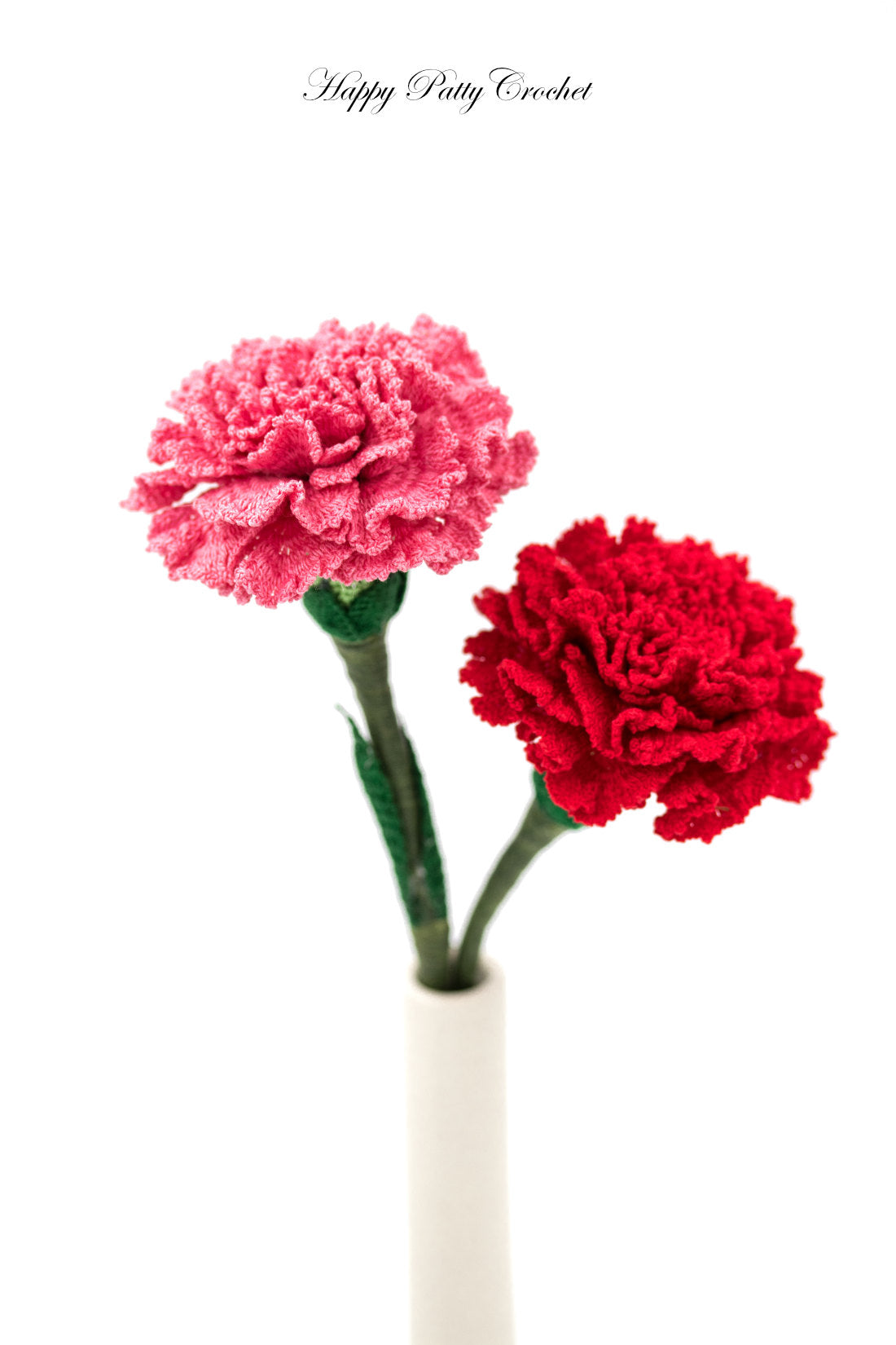 Carnation