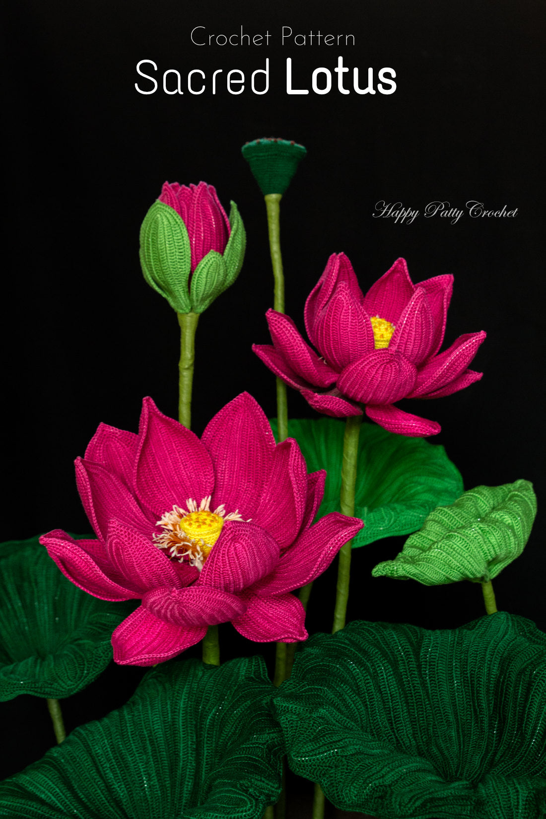 Sacred Lotus