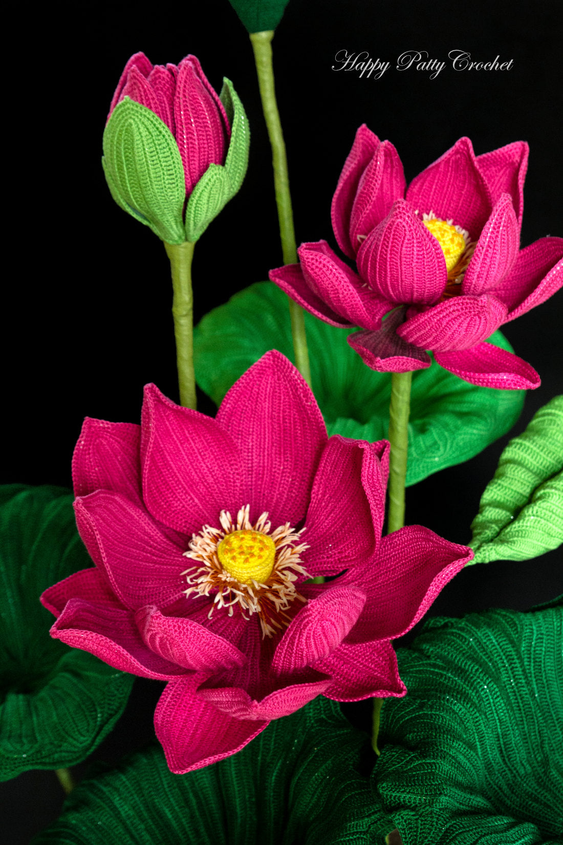 Sacred Lotus