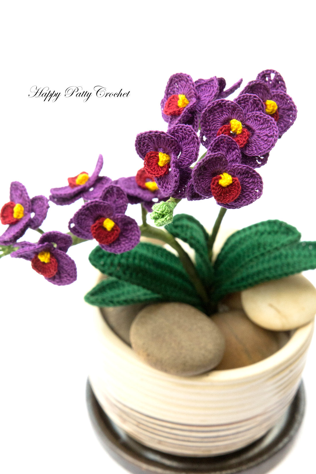 Mini Moth Orchid