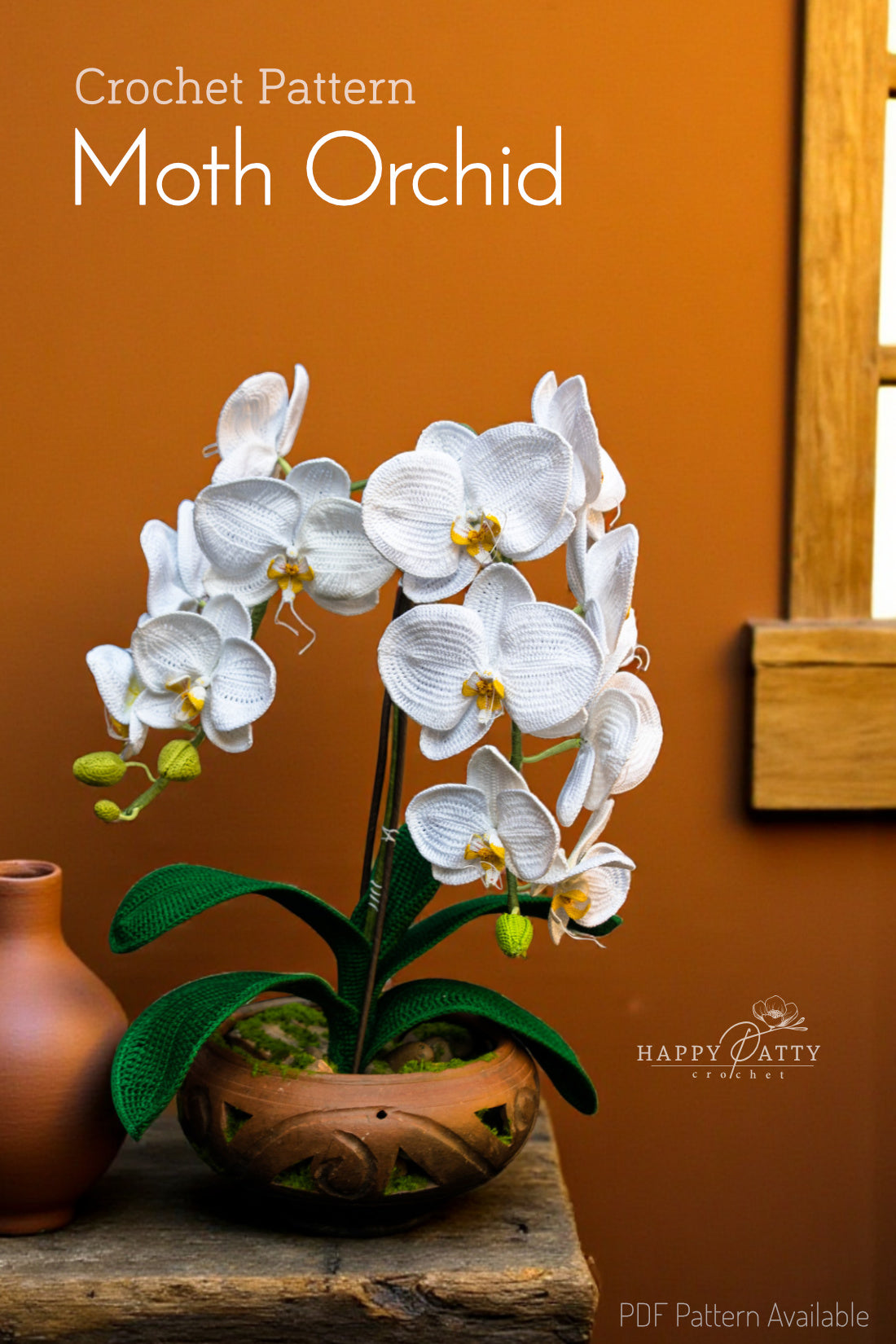 Moth Orchid