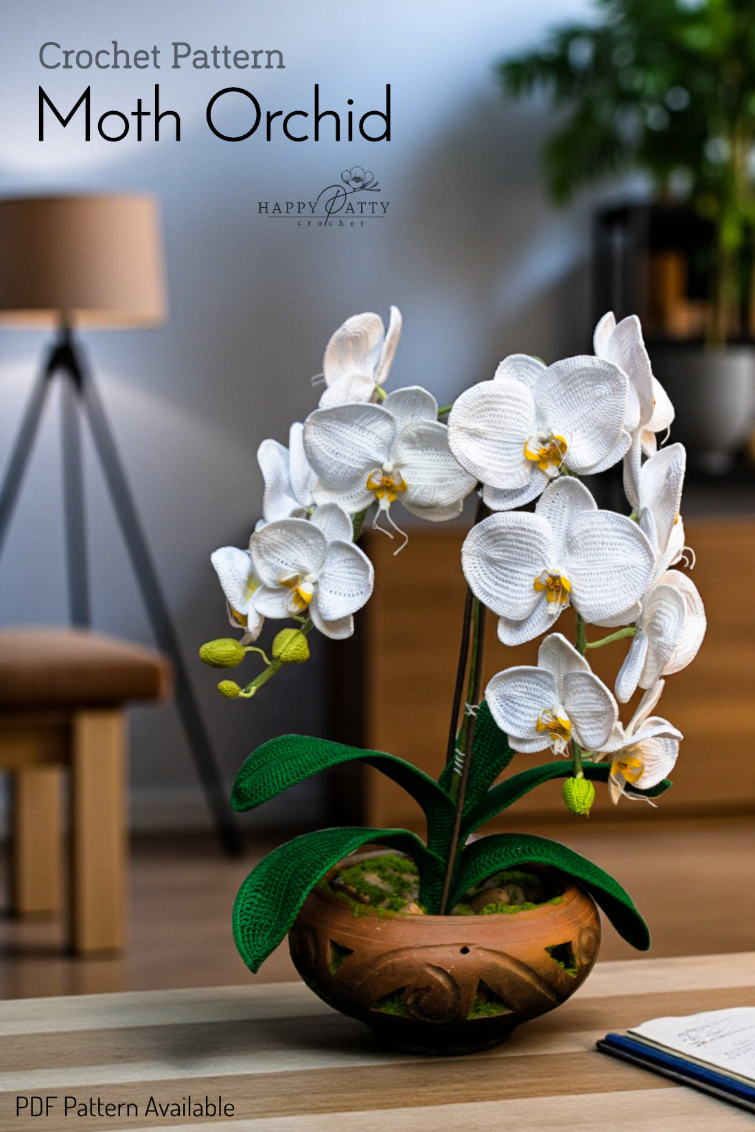 Moth Orchid