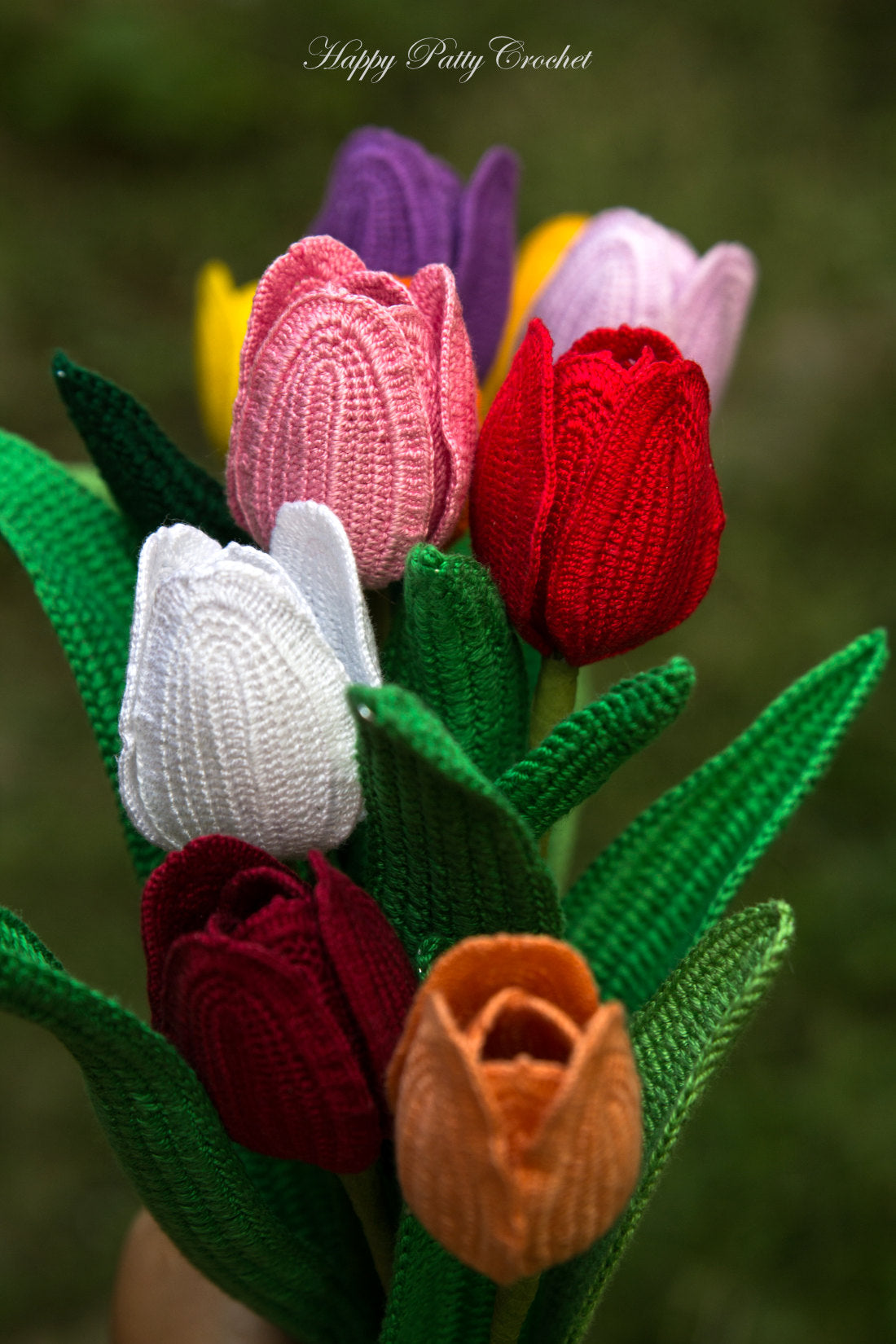 Single Late Tulip