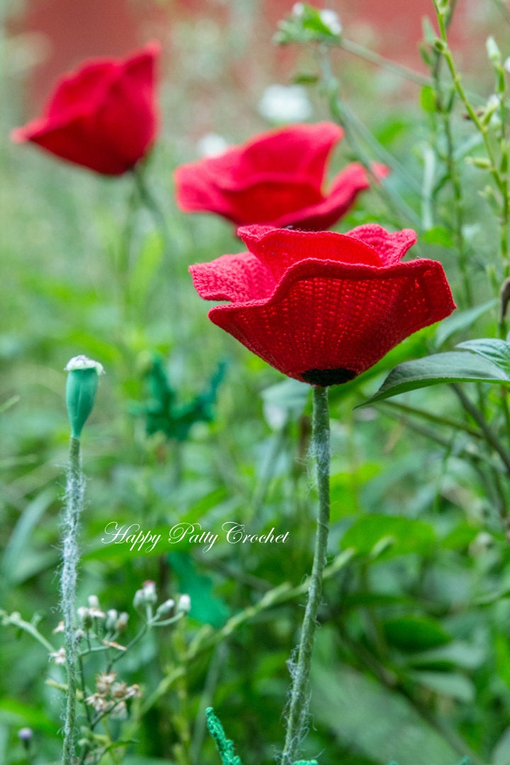 Crochet Poppy Pattern - Crochet Flower Pattern - Field Poppy Flower Pattern - Flanders Poppy Crochet Pattern