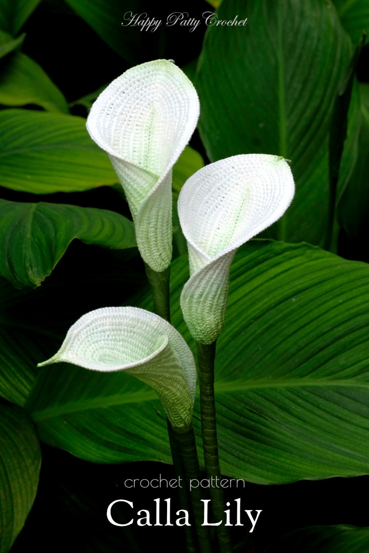 Crochet Pattern for a Calla Lily - Crochet Flower Pattern for an Arum Lily Flower