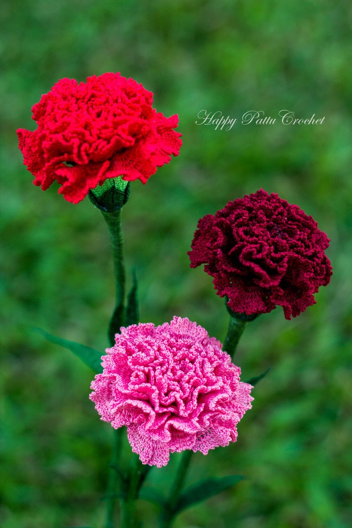 Crochet Carnation Pattern - Croche Flower Pattern - Carnation Flower Pattern - Mother&