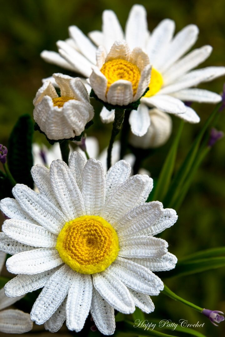 Crochet Daisy Flower Pattern - Shasta Daisy Pattern - Instant Download