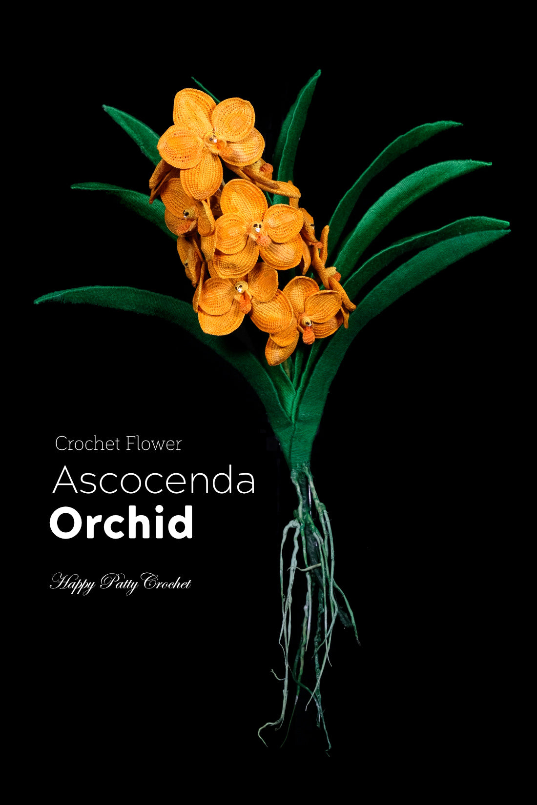 Ascocenda Orchid
