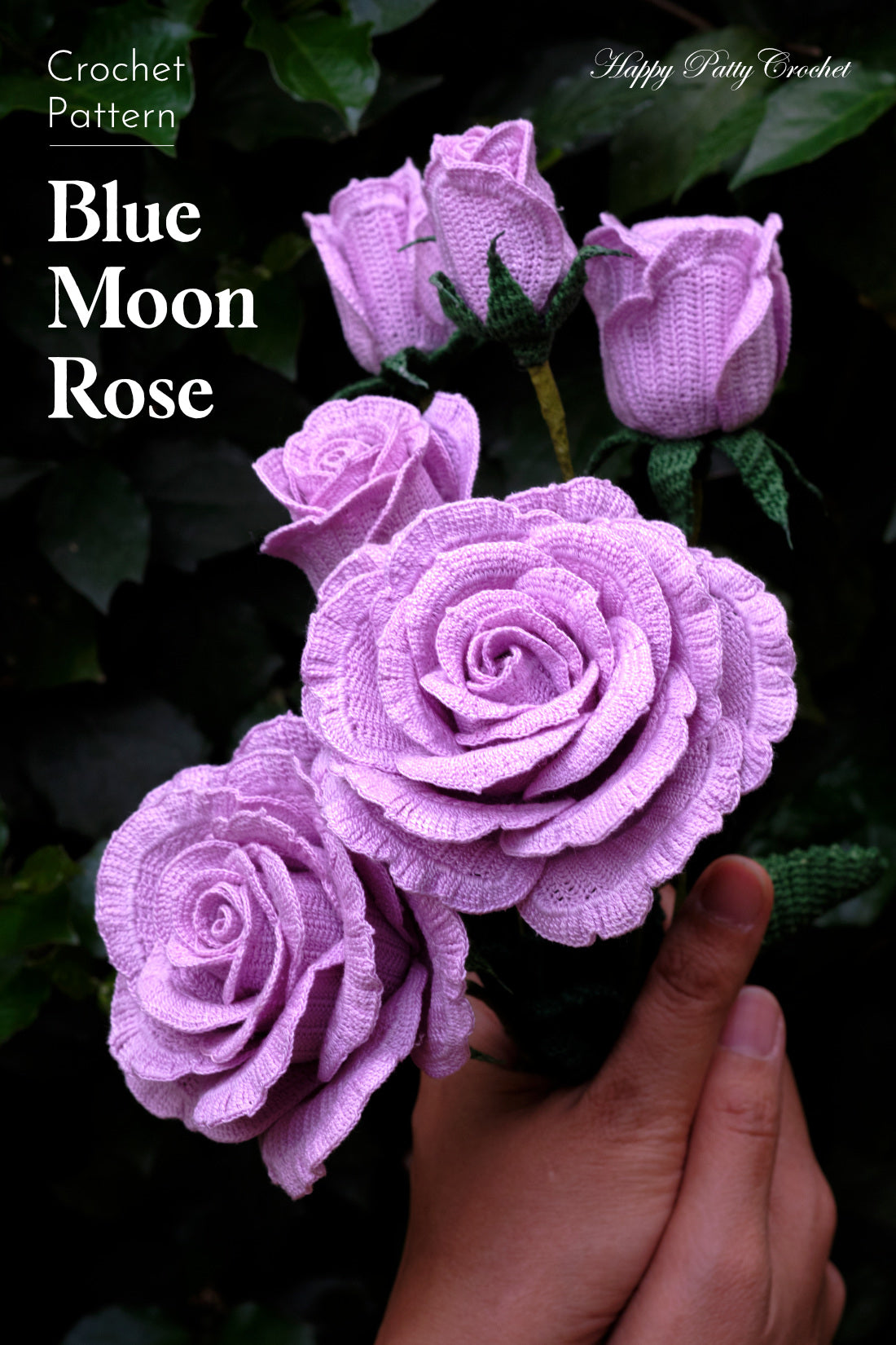 Blue Moon Rose