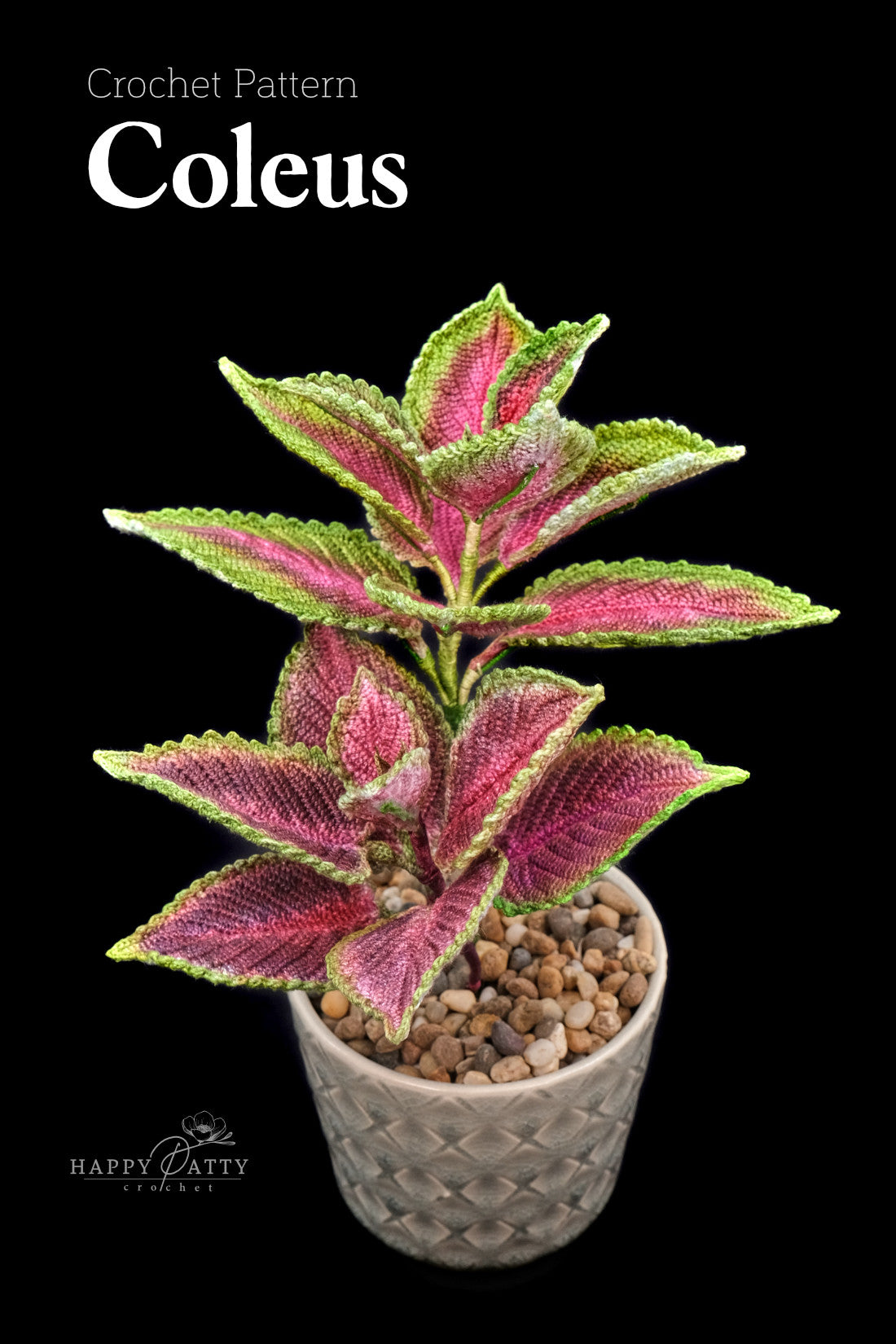 Coleus