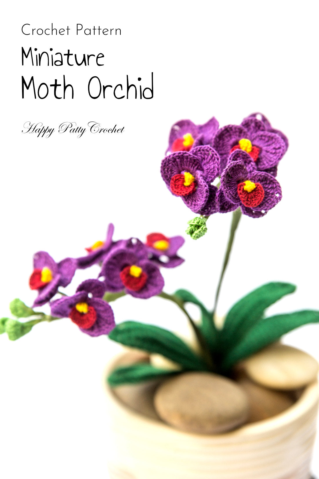 Mini Moth Orchid