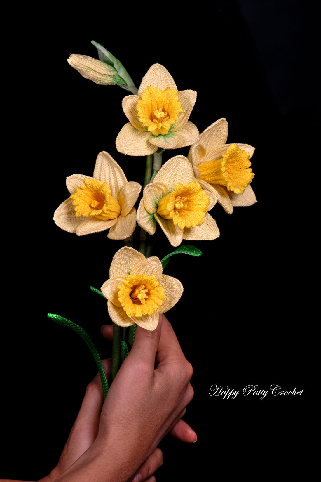 Trumpet Daffodil