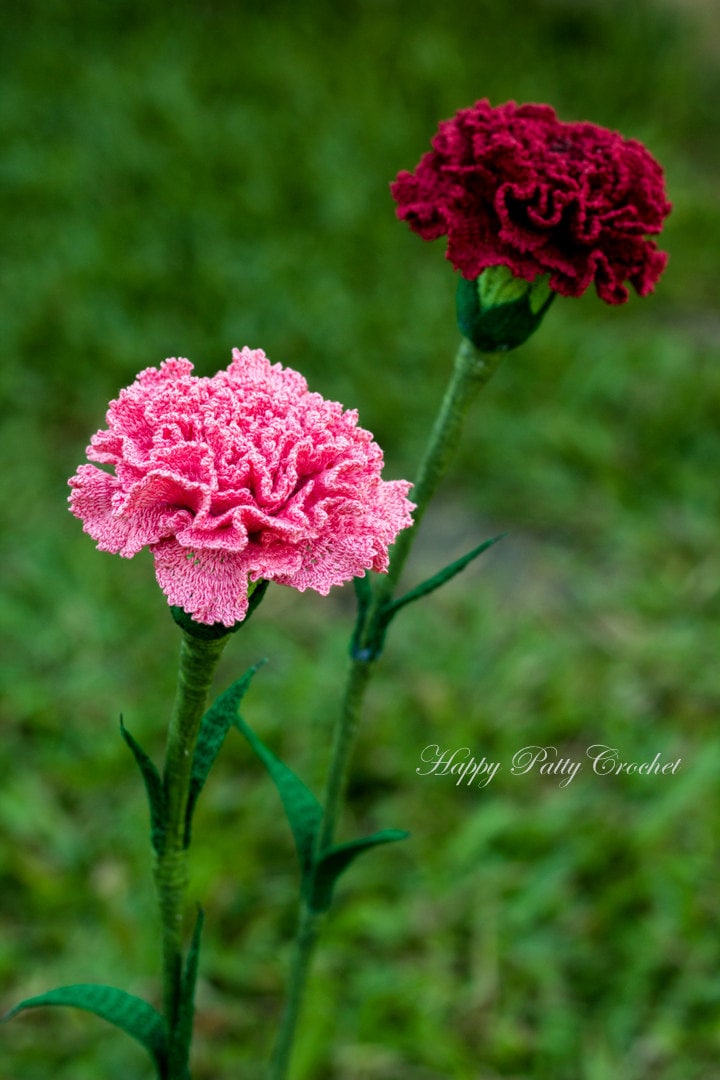 Crochet Carnation Pattern - Croche Flower Pattern - Carnation Flower Pattern - Mother&