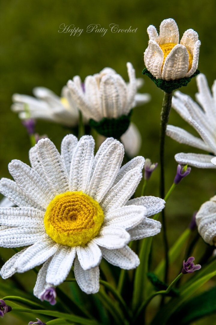 Crochet Daisy Flower Pattern - Shasta Daisy Pattern - Instant Download